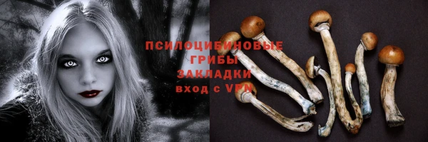 таблы Медвежьегорск